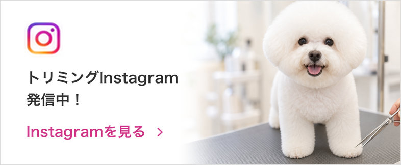 トリミングInstagram発信中！ Instagramを見る